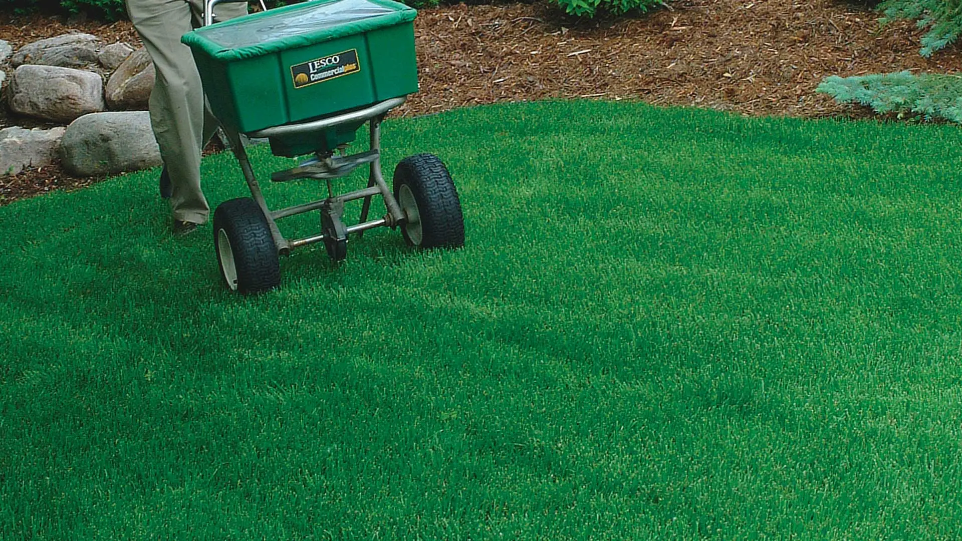 Back yard treated by The Lawn Techs with a Real Green Lawn Care program in New Providence, NJ.