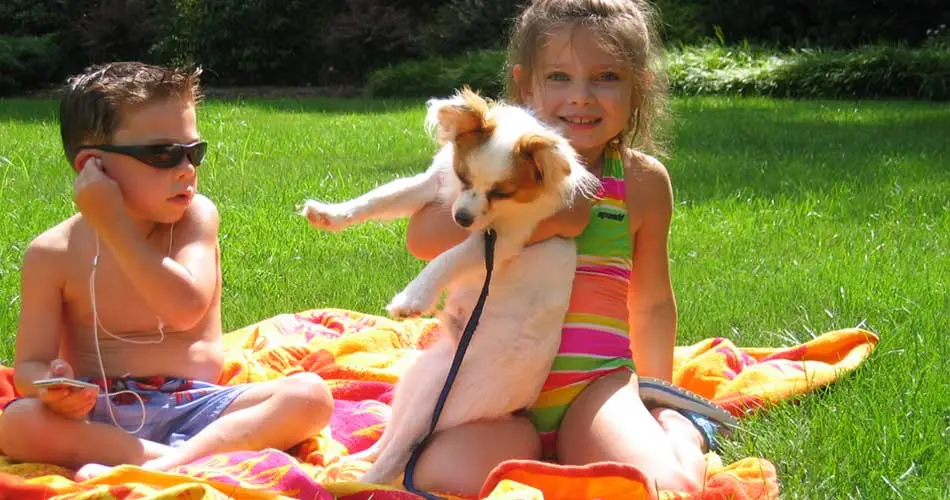 Family and dog playing in a lush green lawn with a reduced pesticide lawn care program in Summit, NJ.