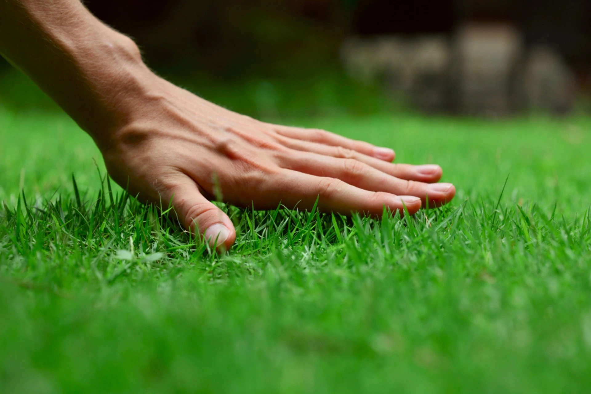 Long Hill NJ #1 Lawn Care Service Company