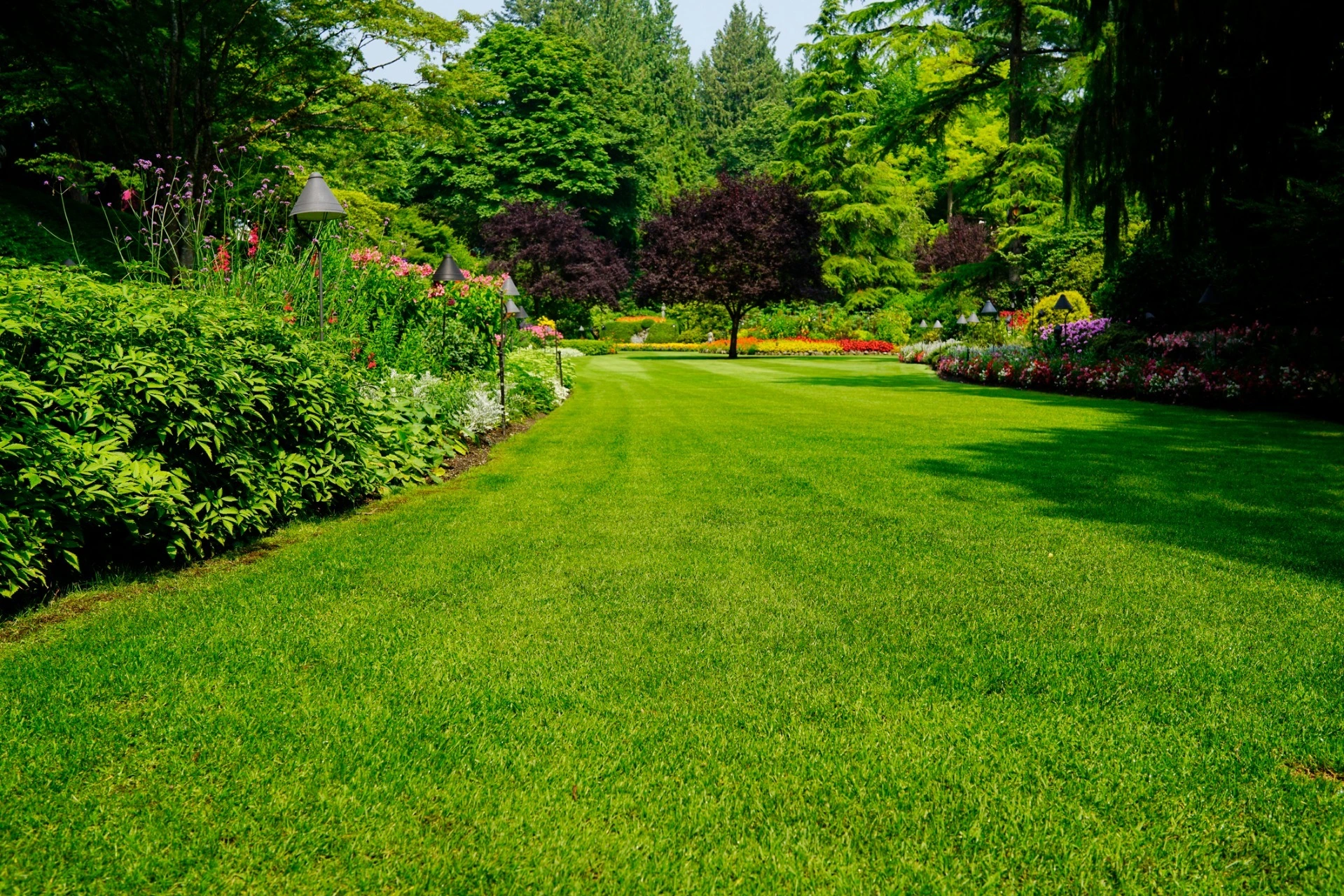 Harding Township NJ lawn care